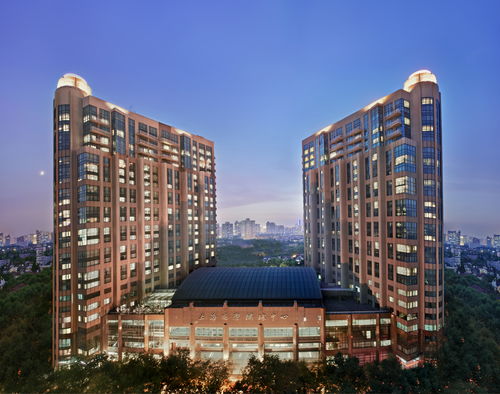 久事衡山大酒店 全面升級(jí)煥新顏，餐飲管理再塑滬上地標(biāo)新體驗(yàn)